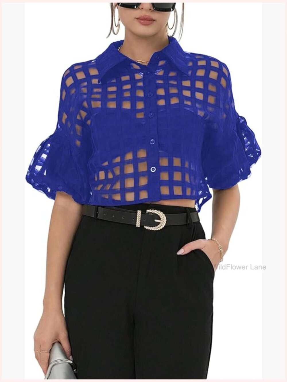 Sheer Mesh Crop Blouse, Button Down Short Sleeve Collared Neck Top